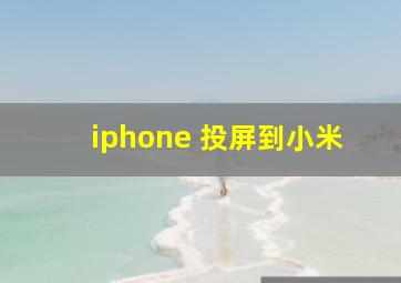 iphone 投屏到小米